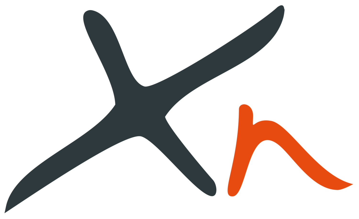 Xn Leisure logo